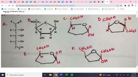 Bio Chem Exam Flashcards Quizlet