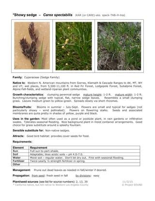 Q Carex Spectabilis PDF