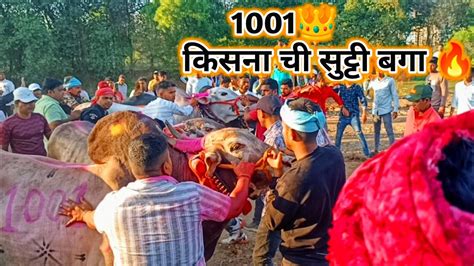 किसना 1001 ची सुट्टी चा थरार 🔥🔥🦁 Youtube