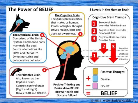 The Power Of Belief Infographic Bodywhealth