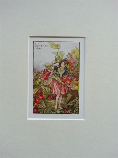 Flower Fairy Mounted Vintage Print S Black Bryony Cicely Etsy Uk