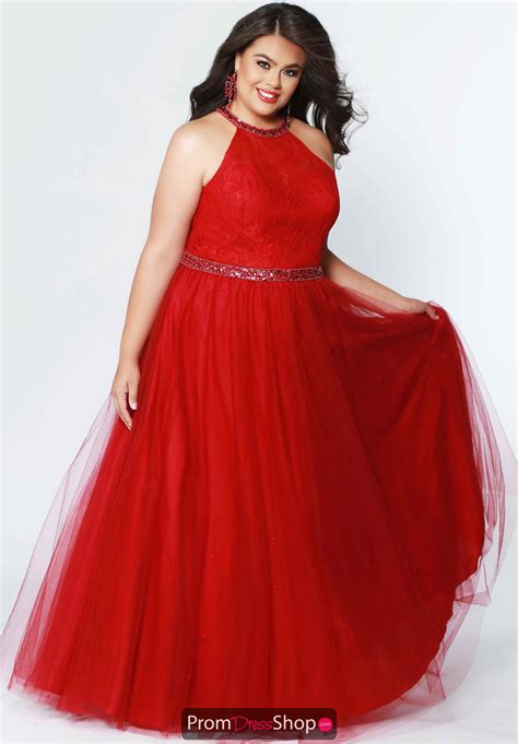 Pin On Plus Size Prom Dresses