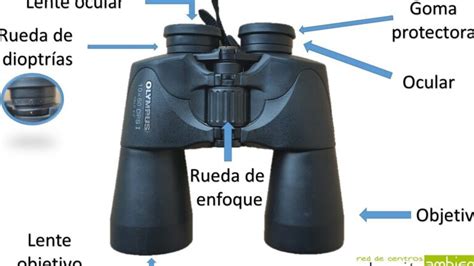 Descubre Los Usos De Los Binoculares Microscopio Pro