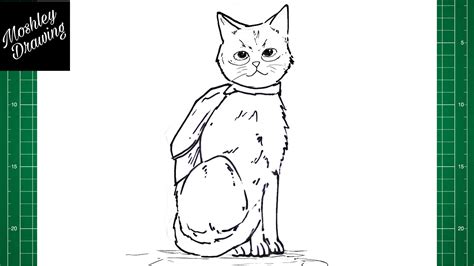 How To Draw A Cat From Stray Game