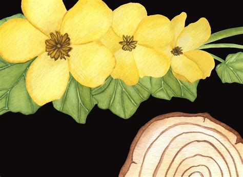 Watercolor Wood Slice Clipart Violet Yellow Spring Flowers Rustic