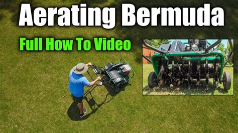 Aerating Bermuda Lawns Full How To Video Youtube