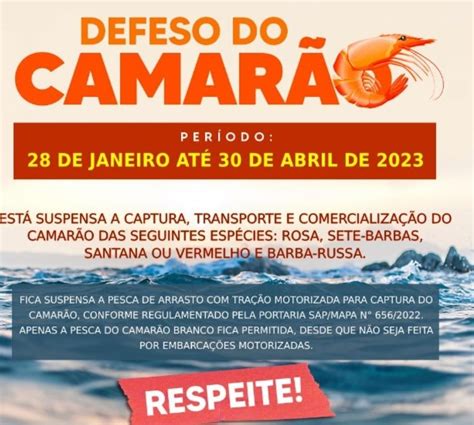 Defeso do camarão começa dia 28 de janeiro Macaé Em Foco