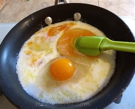 scrambled-eggs-cooking-ASimpleHomestead | A Simple Homestead