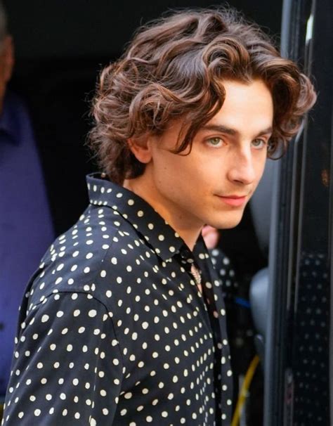 Timothee chalamet in New York city recently | Timothee chalamet, Mens ...