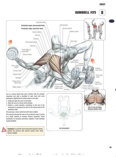 Strength Training Anatomy 2nd Edition