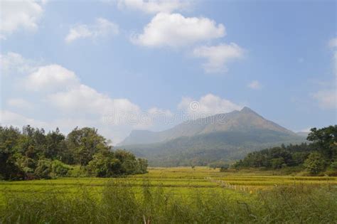 Chikmagalur, Hill Station in Karnataka Stock Photo - Image of coffee ...