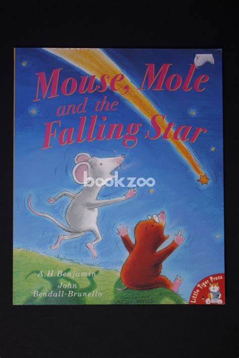 Buy Mouse Mole And The Falling Star By Ah Benjamin John At Online