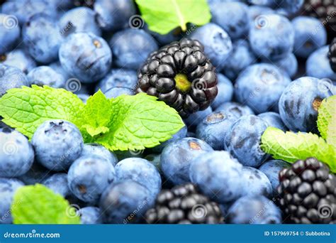 Blueberry And Blackberry Background Ripe And Juicy Fresh Picked