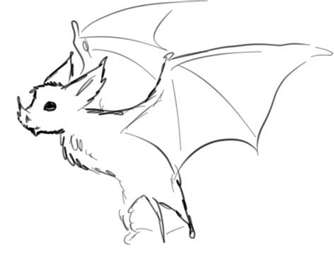 Bat Doodle By Truffulagirl