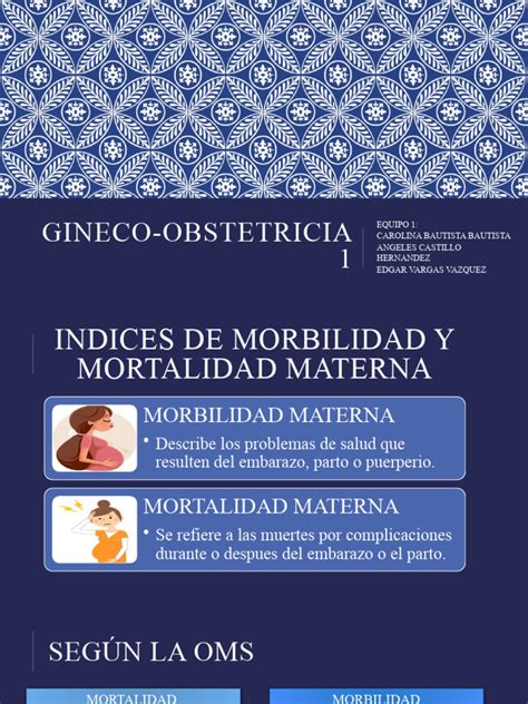 Tema 1 Indice De Morbilidad Y Mortalidad Materna Y Perinatal Pdf