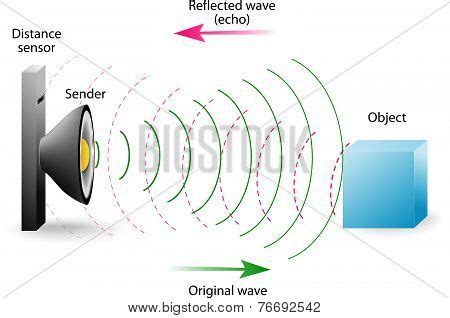 Echo Reflection Sound Vector & Photo (Free Trial) | Bigstock