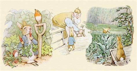 The Tale Of Peter Rabbit By Beatrix Potter Summary And Rev