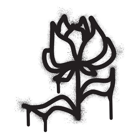 Rose Flower Graffiti With Black Spray Paint 21393280 Vector Art At Vecteezy