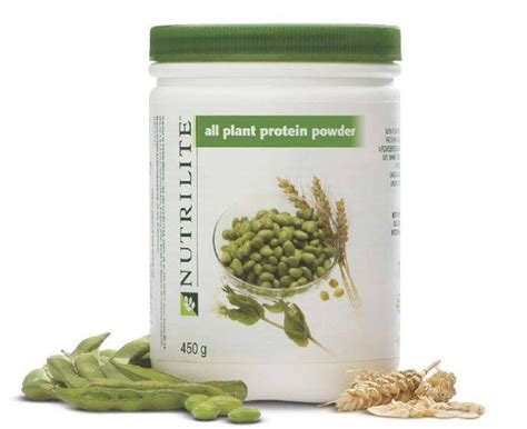 NUTRILITE Protein Powder