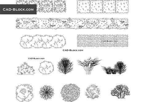 Bushes elevation CAD Blocks download, DWG