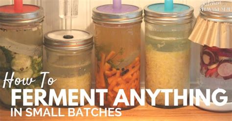 How To Ferment Any Vegetable In Small Batches