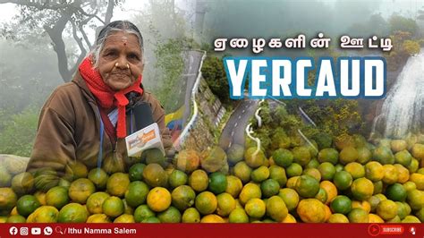 Hill Station Salem City Yercaud Places To Visit At Season