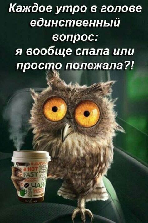 В жизни всегда есть место юмору | Юмор, Юмор о работе, Смешные открытки