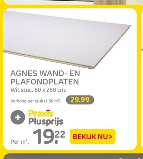 Agnes Wand En Plafondplaten 60 X 260 Cm Aanbieding Bij Praxis