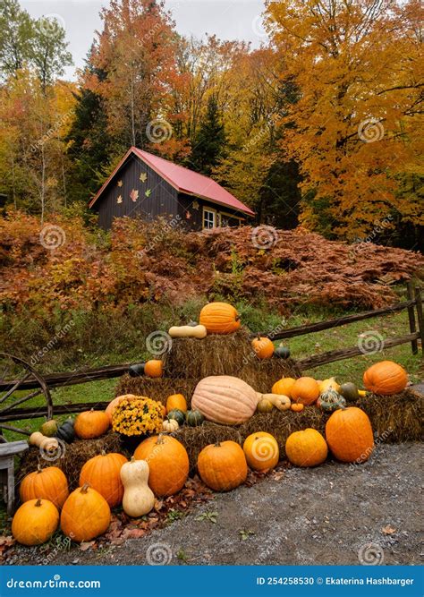 Fall Scenery with Pumpkins in Front of a Barn. Stock Photo - Image of ...