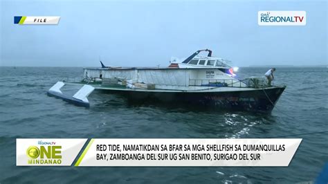 One Mindanao Red Tide Namatikdan Sa Bfar Sa Mga Shellfish Sa