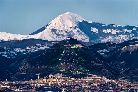 L Accensione Dell Albero Di Natale Pi Grande Del Mondo