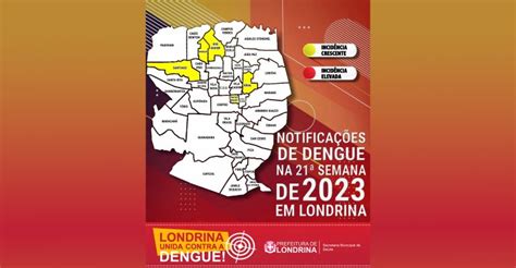 Boletim Atualizado Da Dengue Registrou 19 755 Casos Positivos Em