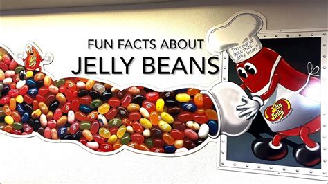 Fun Facts About Jelly Beans Youtube