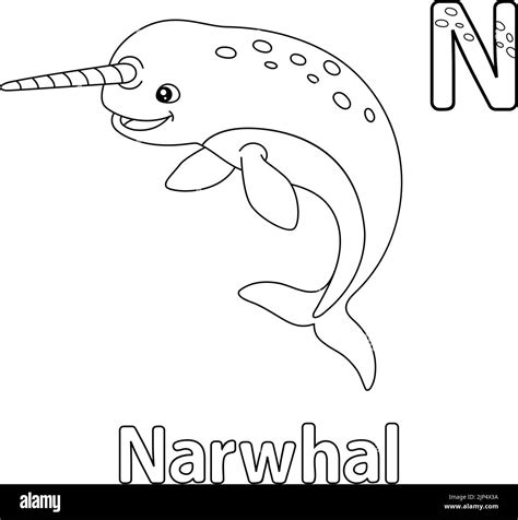 Narwhal Alphabet Abc Coloring Page N Stock Vector Image Art Alamy