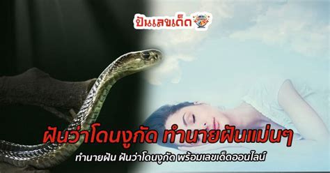 ฝันว่างูกัด 140166 ทำนายฝันแม่นๆ ฝันว่าโดนงูกัด พร้อมความหมาย เลขเด็ด