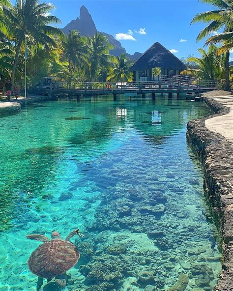 Tropical view of Bora Bora : MostBeautiful