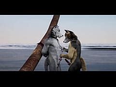 The Beach Gay Furry Animation By Isal D Xxx Mobile Porno Videos