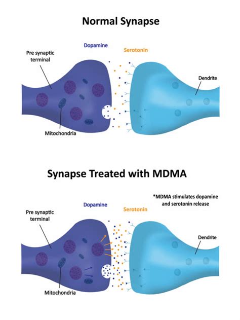 Mdma Addiction Signs Symptoms Treatment Far Guides