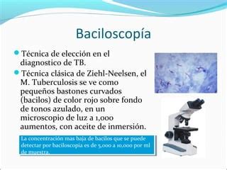 Diagnostico De Laboratorio De La Tuberculosis Ppt