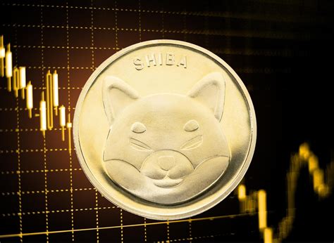 Le Prix Des Pi Ces Shiba Inu Chute Nouveau Dans Le Crash De La Crypto