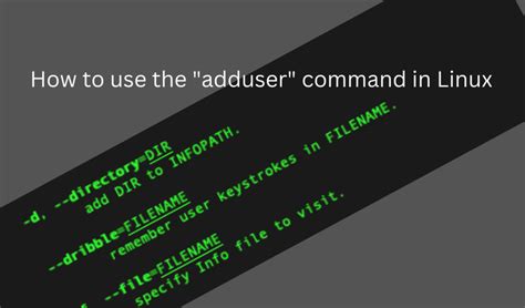 How To Use The Adduser Command In Linux With Examples Linuxways