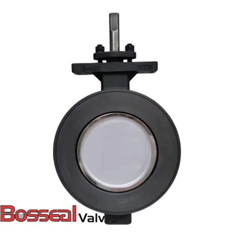 Double Eccentric Butterfly Valve Astm A890 5a 6 In 150 Lb Bosseal