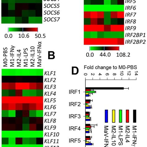 Transcriptomic Analysis Of Selected Transcription Factor Tf Families