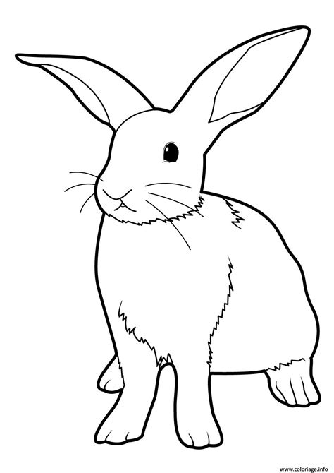 Coloriage Lapin Realiste Debout JeColorie 26199 Hot Sex Picture