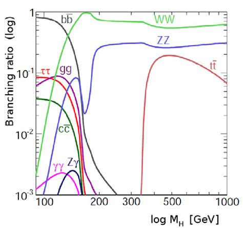 particle physics - Higgs boson decay channels - Physics Stack Exchange