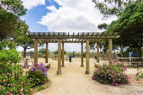 Picnic Area, Palo Alto Baylands Park, California Stock Photo - Image of ...