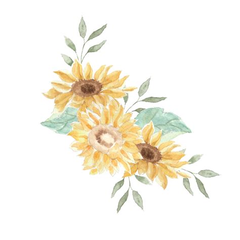 Arreglo De Acuarela De Girasol De Otoño Vintage PNG dibujos Boda