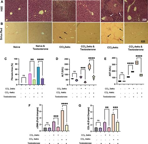 Frontiers The Immune And Metabolic Treatment Approach Of Using