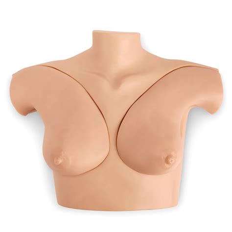 Nasco Gaumard Breast Phantom Simulator Light Medium Dark Skin Tone