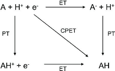 Square Scheme For Proton Coupled Electron Transfer Et Electron Download Scientific Diagram